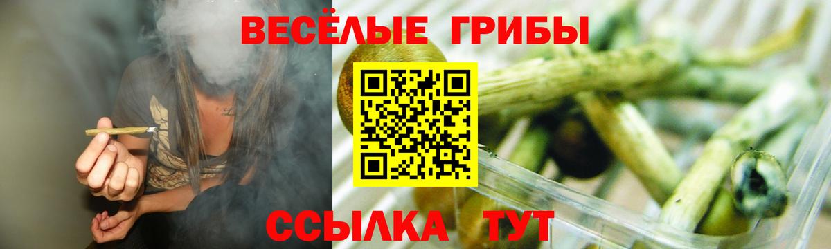 Галлюциногенные грибы MAGIC MUSHROOMS Рубцовск